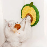 Fruit Scratcher Cat Toy